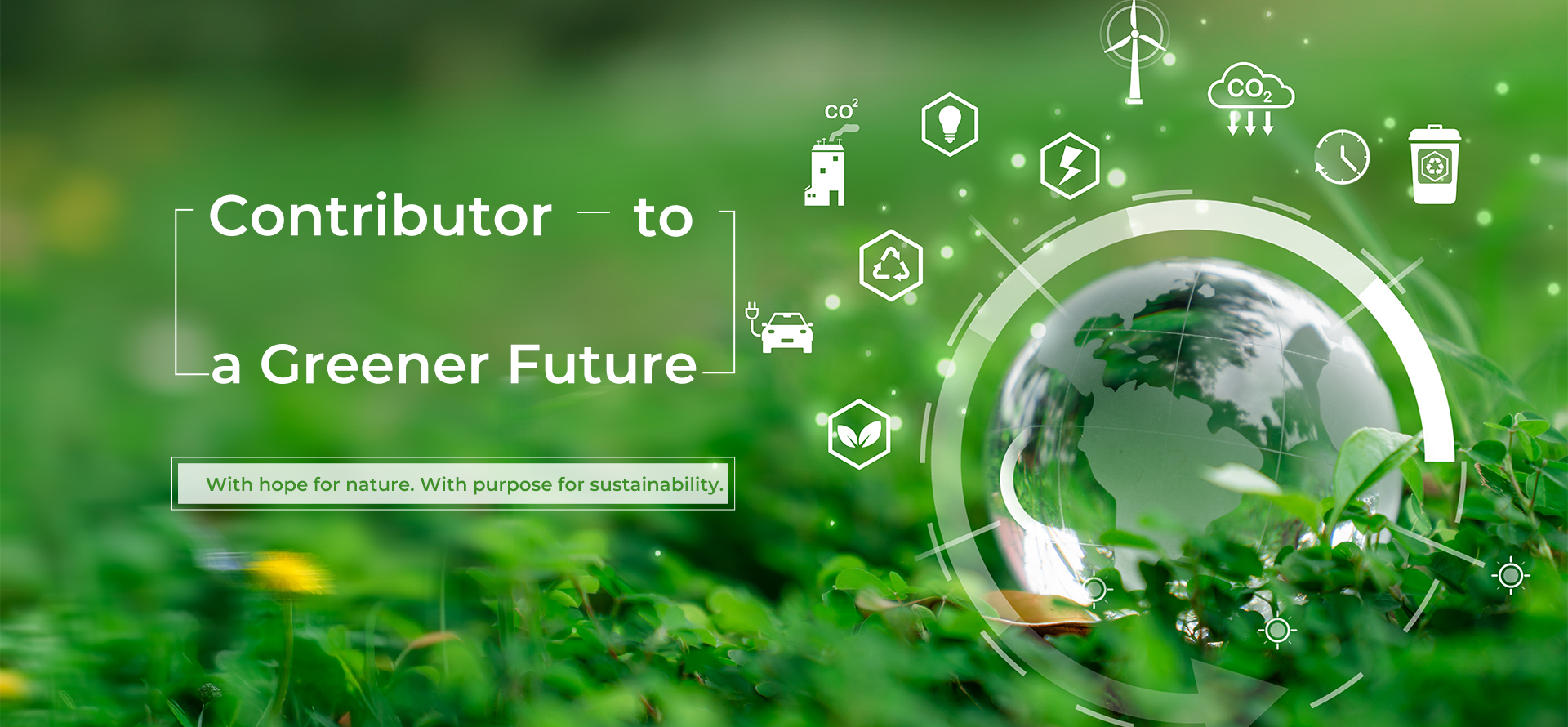 绿色未来的贡献者